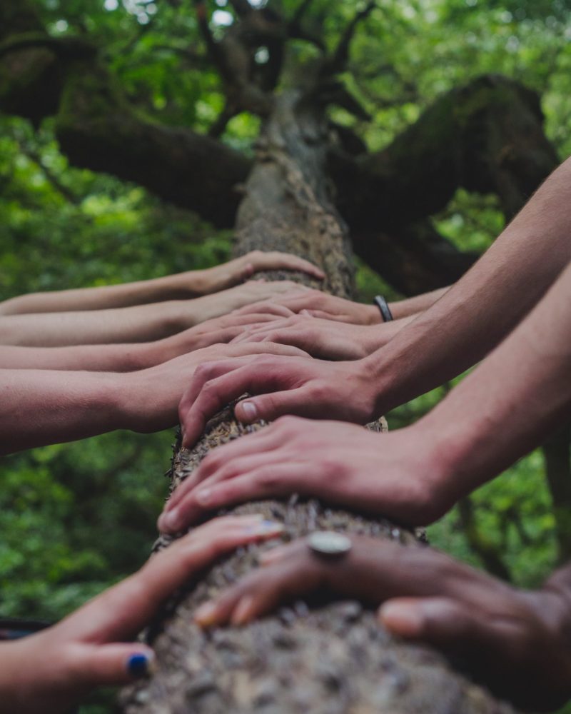 shane-rounce-DNkoNXQti3c-unsplash